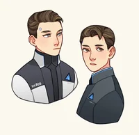 RK800 and RK900