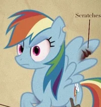 Foul fillies rainbow