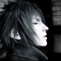 Noctis Lucis Caelum