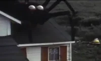 Giant Spider