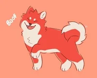 Dog hybrid Kirishima