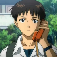 Shinji hermano mayor