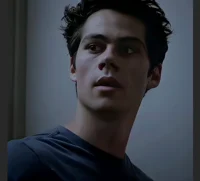 Void Stiles