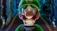 Luigi Adventure 