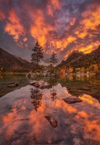 Cassie Thompson -PYW