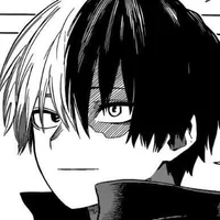 MHA Shoto Todoroki