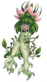 Mandragora wife