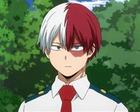 Shoto Todoroki