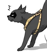 CAT Tim Drake