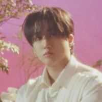 SKZ - Changbin