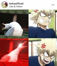 Mha - freeze