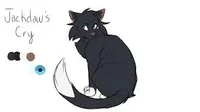 Jackdaws Cry