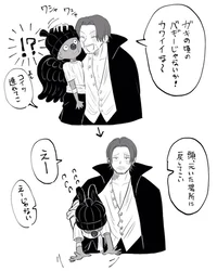 Shanks Crew