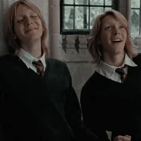 The Weasley Twins