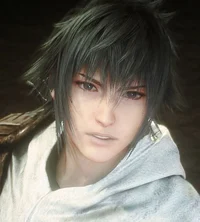 Noctis Lucis Caelum