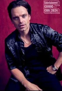 Sebastian stan 