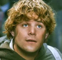Samwise Gamgee