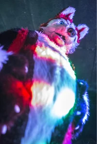 Redskihusky Fursuit 