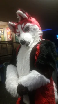 Redskihusky Fursuit 