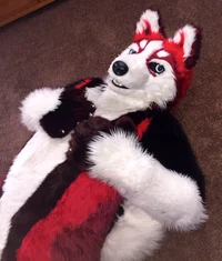 Redskihusky Fursuit 