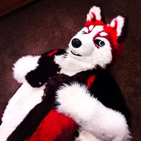 Redskihusky Fursuit 