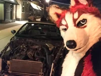 Redskihusky Fursuit 