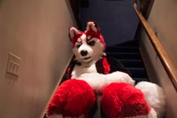 Redskihusky Fursuit 