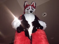 Redskihusky Fursuit 