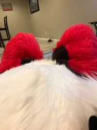 Redskihusky Fursuit 
