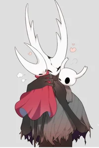 Female Hollow Knight