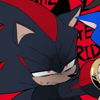Sonadow-EXE disaster