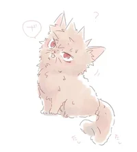 Katsuki-cat