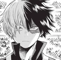 Shoto Todoroki