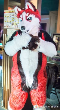 Redskihusky Fursuit 
