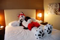 Redskihusky Fursuit 