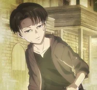 Levi Ackerman 