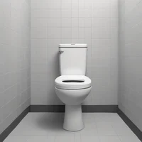 A random toilet