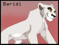 Baridi 