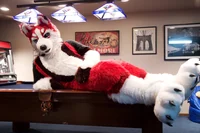 Redskihusky Fursuit 