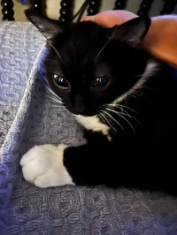 Snumble