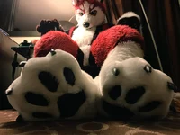 Redskihusky Fursuit 