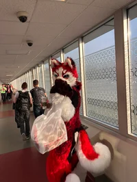 Redskihusky Fursuit 