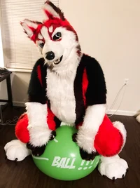 Redskihusky Fursuit 