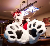 Redskihusky Fursuit 