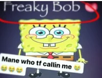 Freakybob