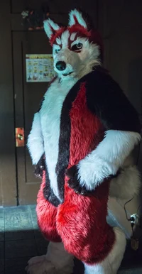 Redskihusky Fursuit 