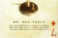 Mr New Vegas