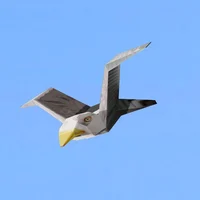 Dsmp but ur part ali