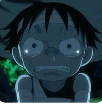 Kid Luffy 2