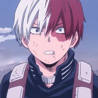Shoto Todoroki 